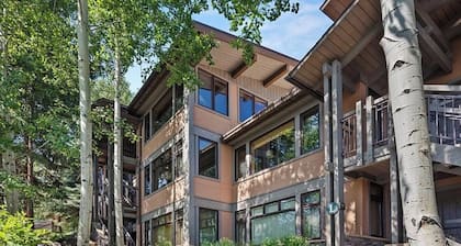 Simplicity At Snowmass - Cozy! Newly Renovated!