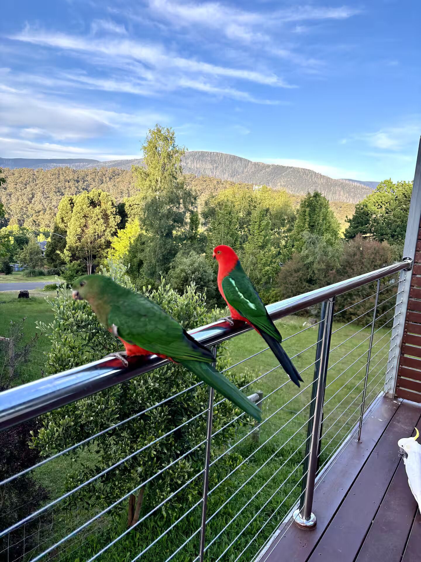 Área da propriedade