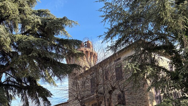 A stone building with a large tree in front, parked cars, and a clear blue sky. - Guest House Foschi - Cozy Home in a Medieval Village (Castiglion Fosco)