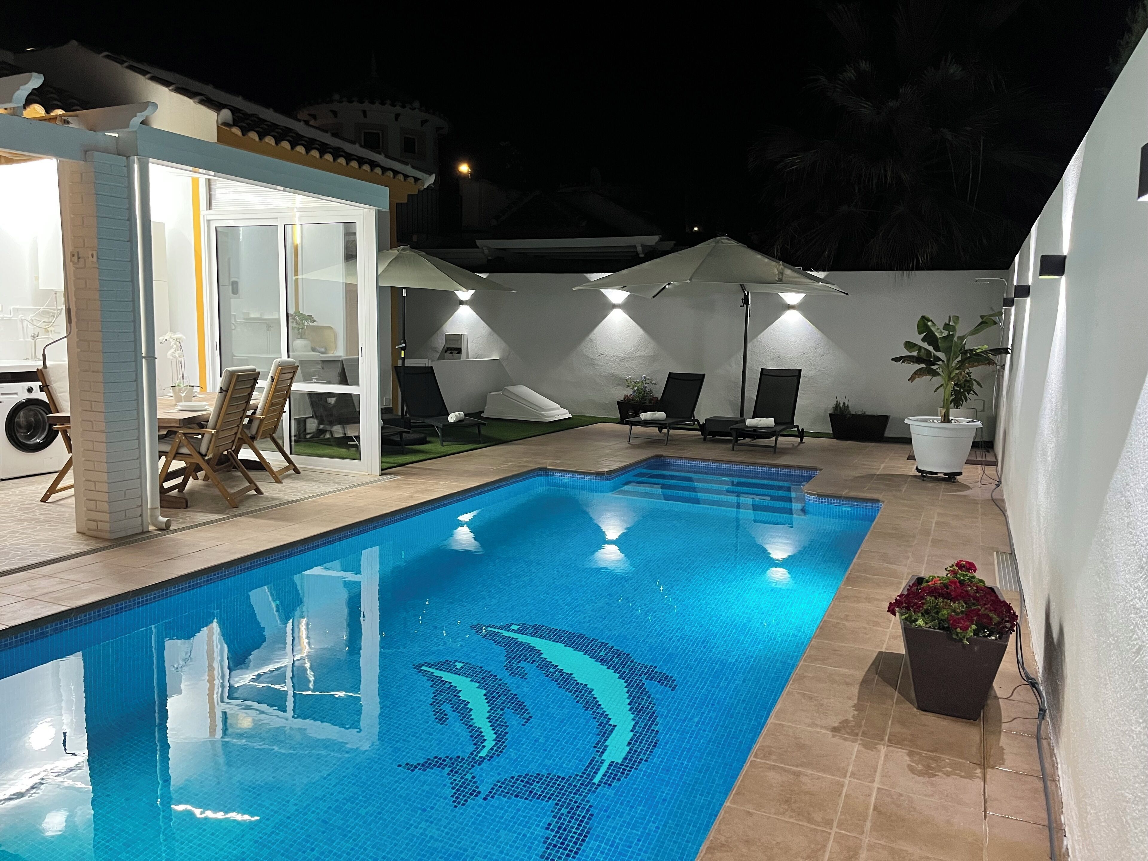 A swimming pool with a dolphin design, surrounded by lounge chairs and a small building with a glass door.