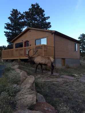 Exterior - Cozy River Cabin, Minutes from Downtown and Rocky Mountain National Park (Estes Park)