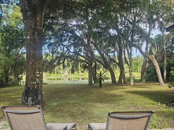 Área da propriedade