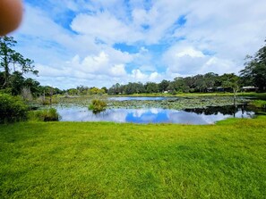 Miscellaneous - 2-bedroom house in beautiful Lake Helen with air conditioning (Lake Helen)