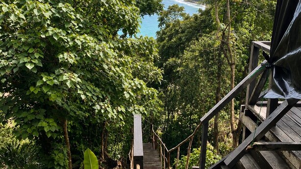 A wooden staircase leading to a viewpoint overlooking a body of water, surrounded by dense greenery.