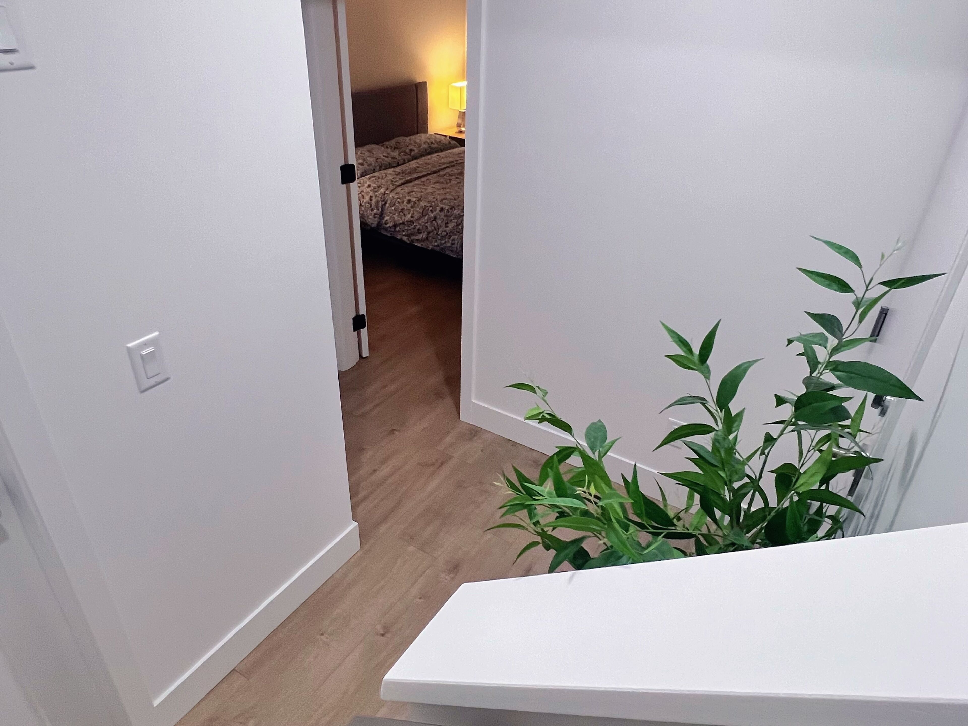 Planxa i posts de planxar i Internet 