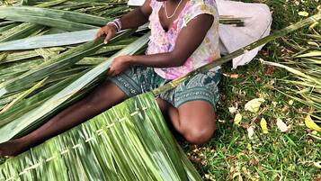 Uma pessoa sentada na grama, rodeada por grandes folhas verdes.