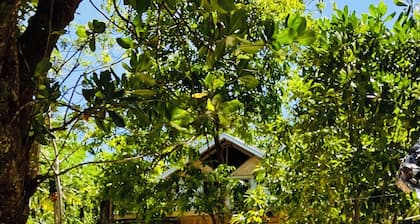 Beachfront on Aore Island inc Transfers, Island Tours & Wifi