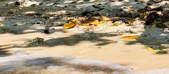 Beachfront on Aore Island inc Transfers, Island Tours & Wifi