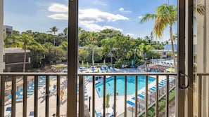 Pool - Key Largo Bayfront/Oceanfront: Pool, Sunroom & Stunning Views! (Key Largo)