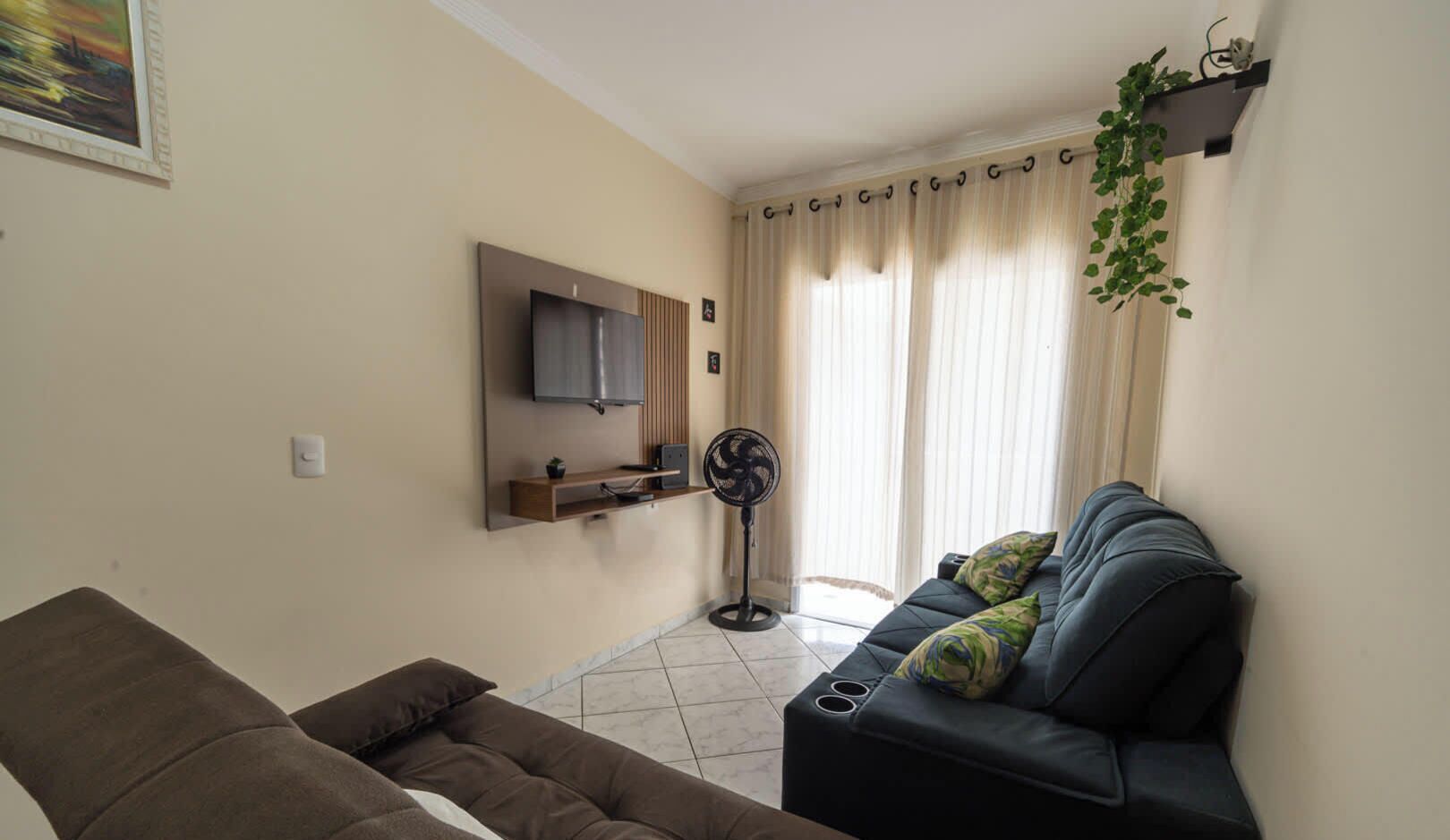 TV