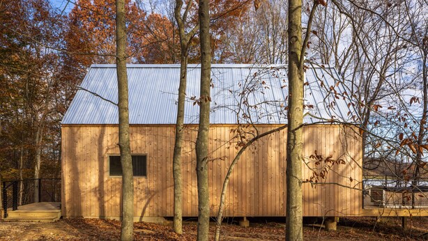 A wooden cabin with a metal roof, surrounded by trees and fallen leaves. - Highland Cows/Wood-Fired Hot Tub/Stunning Views (Logan)