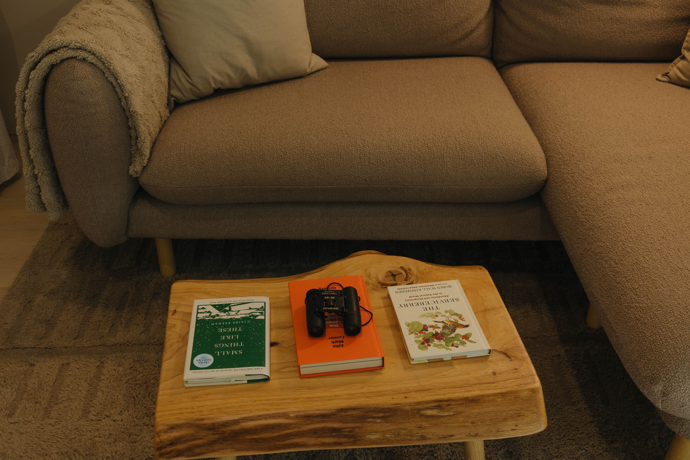 Une table basse en bois sur laquelle reposent trois livres, un appareil photo et une télécommande.