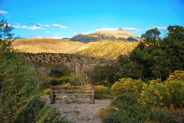 A wooden bench in a natural setting with a mountainous backdrop. - The GateHouse at Pack Creek Ranch (Moab)