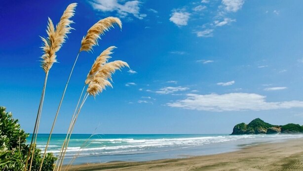 A beach with waves, clear sky, and tall grasses. - 🌿 Coastal Cabin Retreat — Walk to Bethells Beach, Café & Freshwater Lake 🌞 (Te Henga (Bethells Beach))