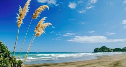 đż Coastal Cabin Retreat â Walk to Bethells Beach, CafĂ© & Freshwater Lake đ