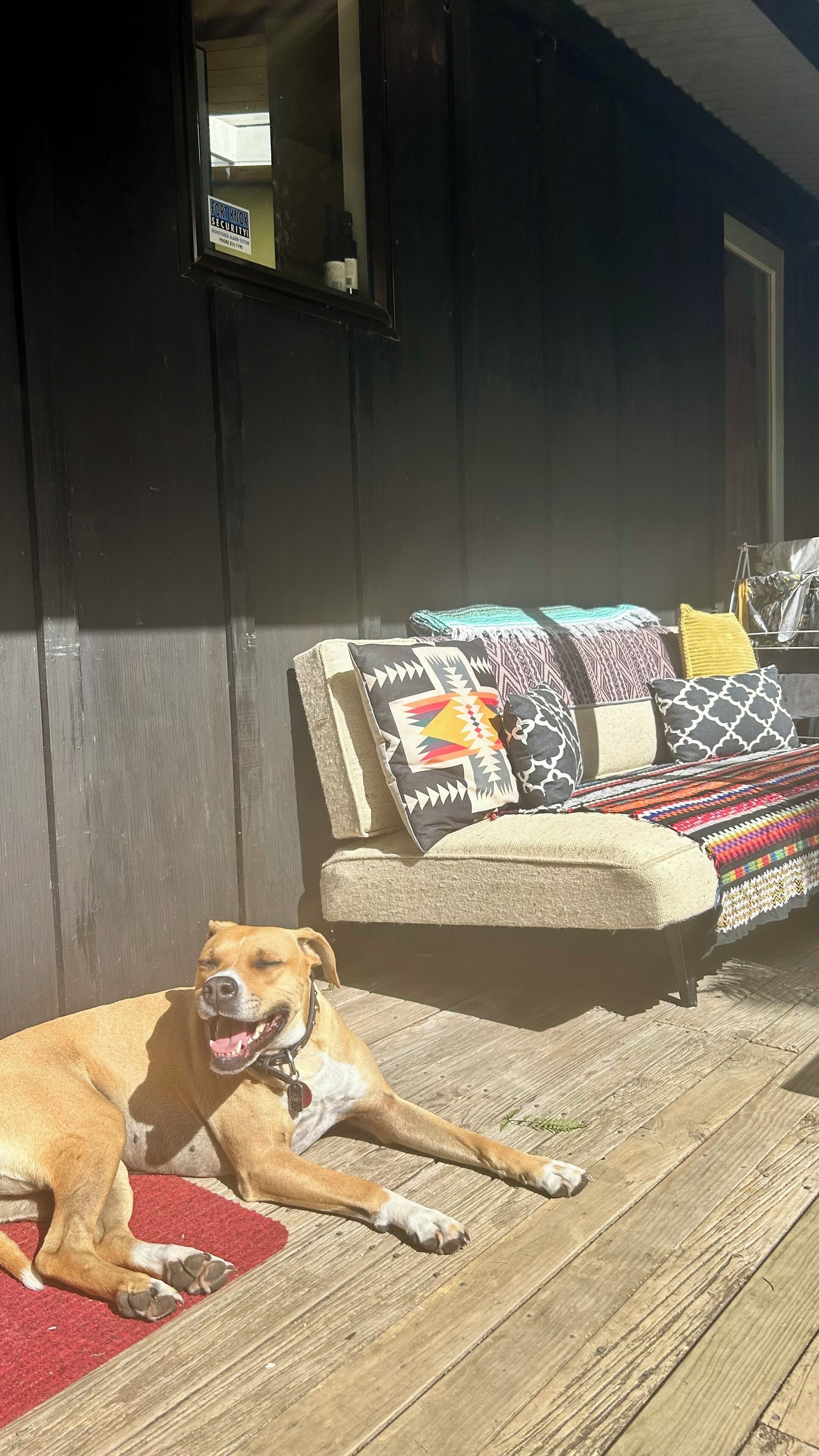 A dog lying on a wooden deck in front of a house with a dark exterior wall and a window.