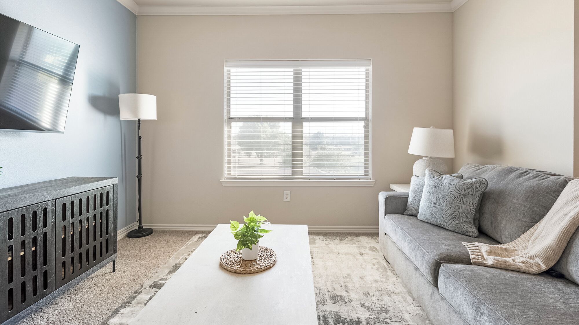 A living room with a grey sofa, a white coffee table with a plant, a TV on the wall, and a window with blinds.
