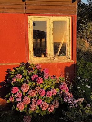Un edificio de madera con ventanal y jardín de hortensias.