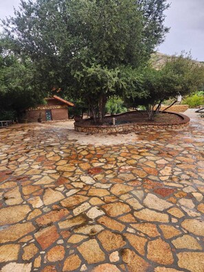 Property grounds - 7 BR / 6 BA Famuily Compound on 100 Hectare Ranch! (Tecate)