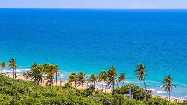 A beach with palm trees and a clear view of the ocean. - Terrific hotel suites in Fort Lauderdale with fitness room and AC (Fort Lauderdale)