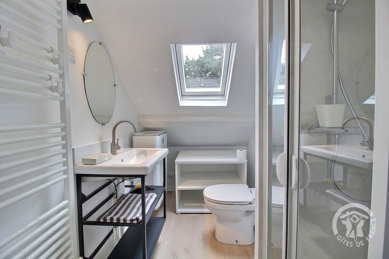 Een kleine badkamer met dakraam, wastafel, toilet en douchegedeelte.