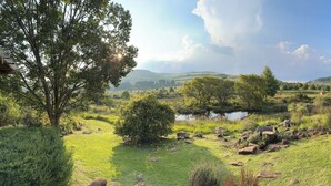 A scenic outdoor area with a pond, grassy terrain, and trees.
