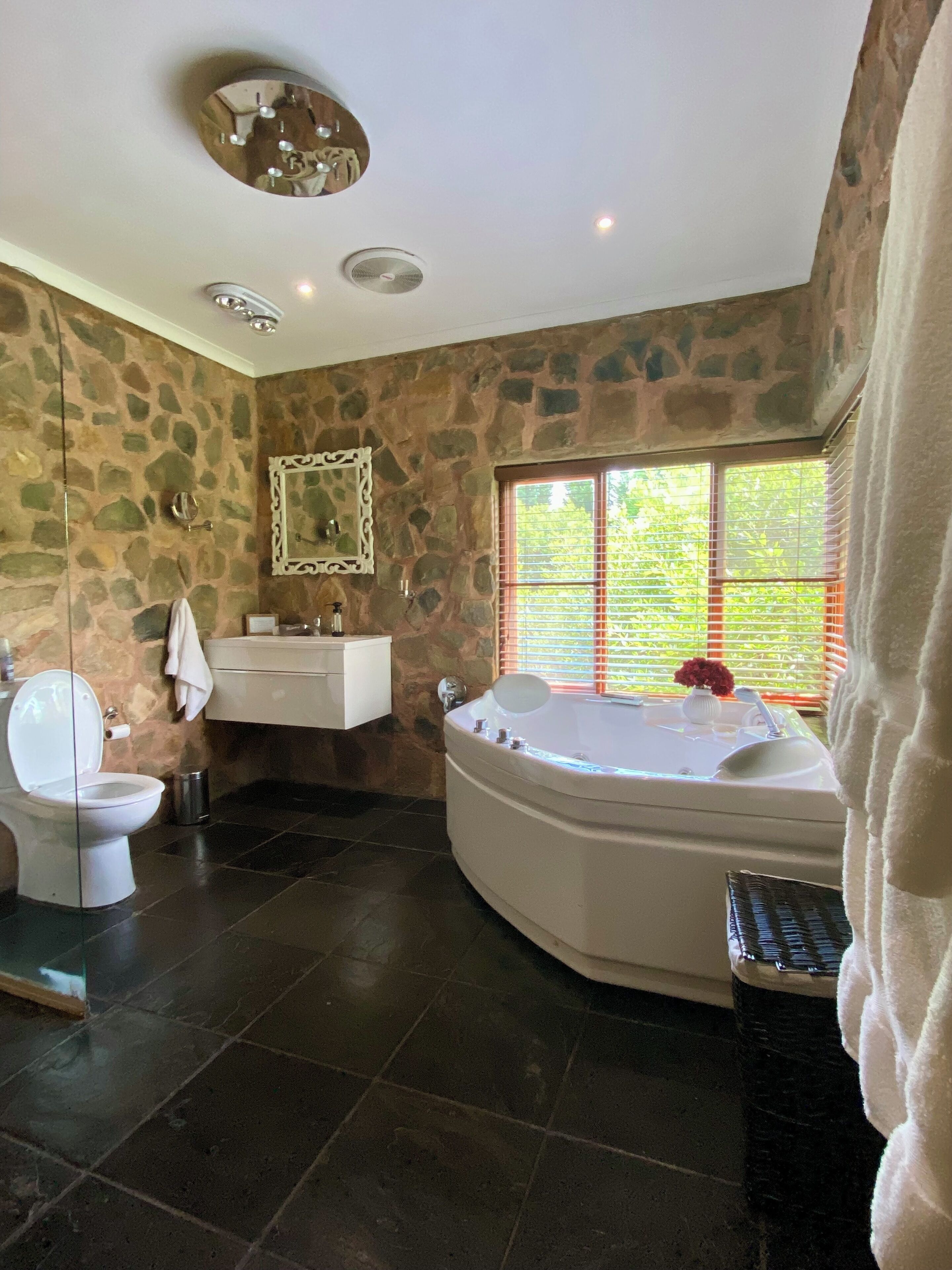 Shower, jetted bath, hair dryer, towels
