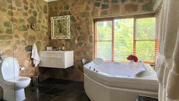Shower, jetted bath, hair dryer, towels