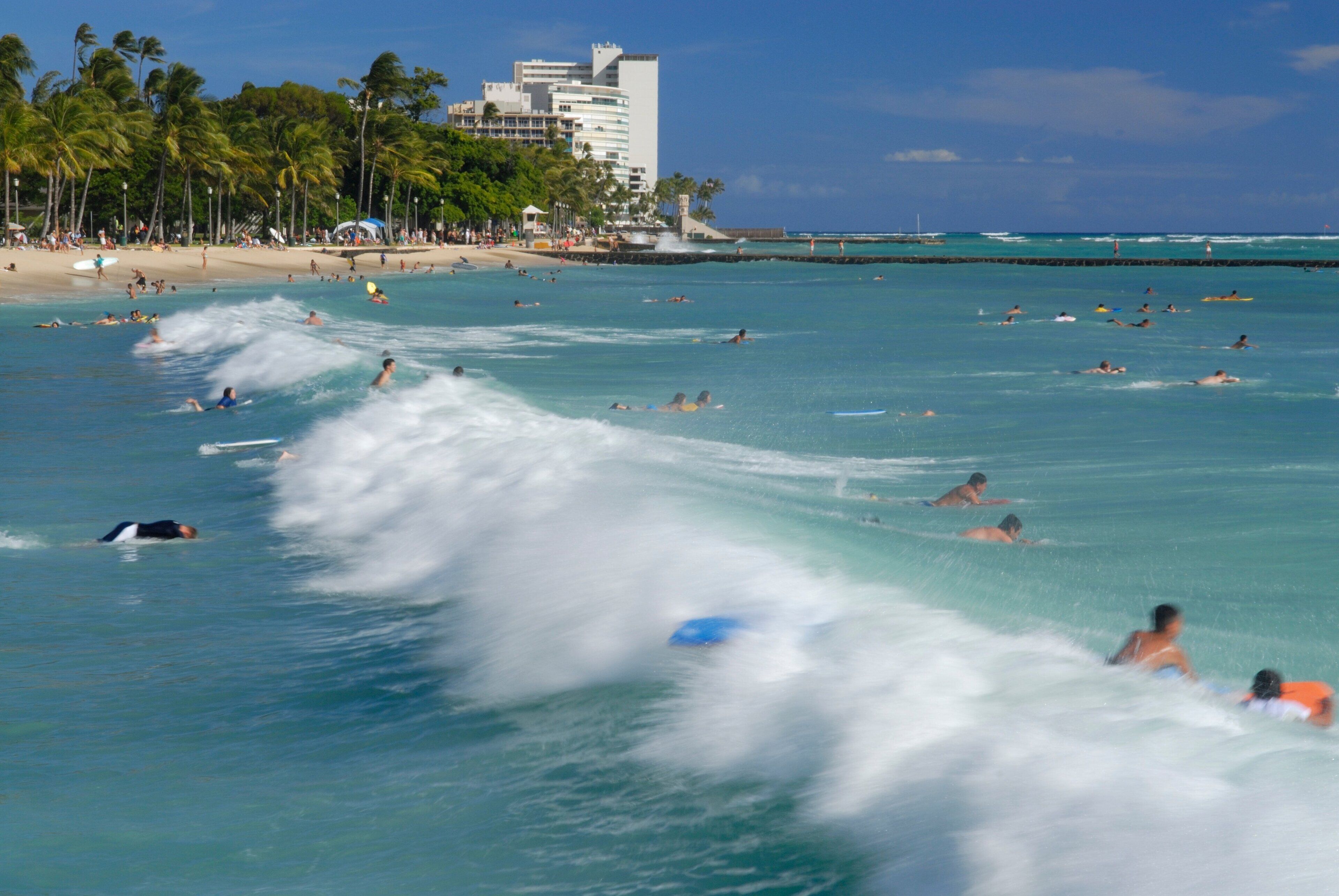 A beach with people swimming and surfing, palm trees, and buildings in the background.