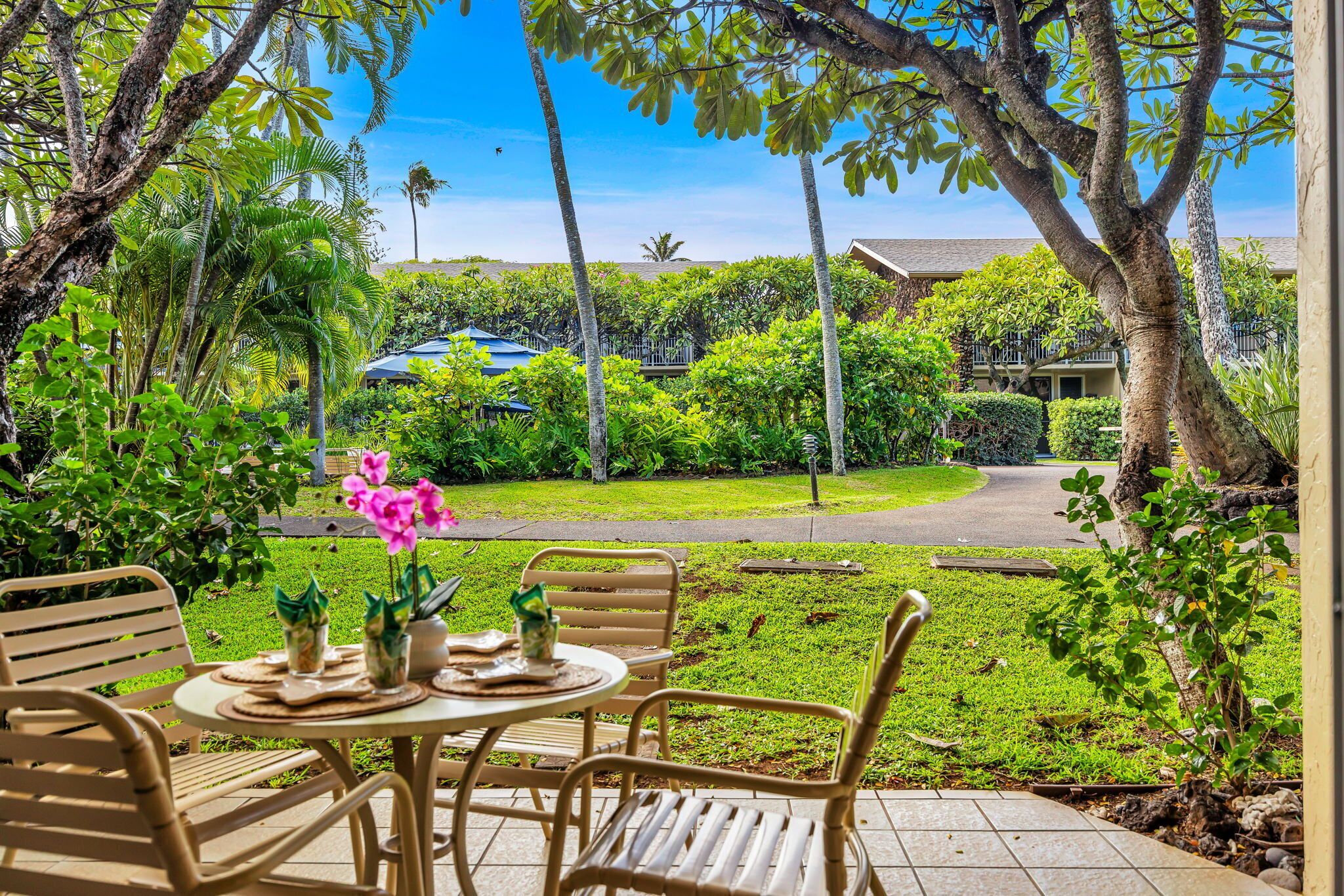 A patio with a round table and four chairs, surrounded by lush greenery and palm trees.