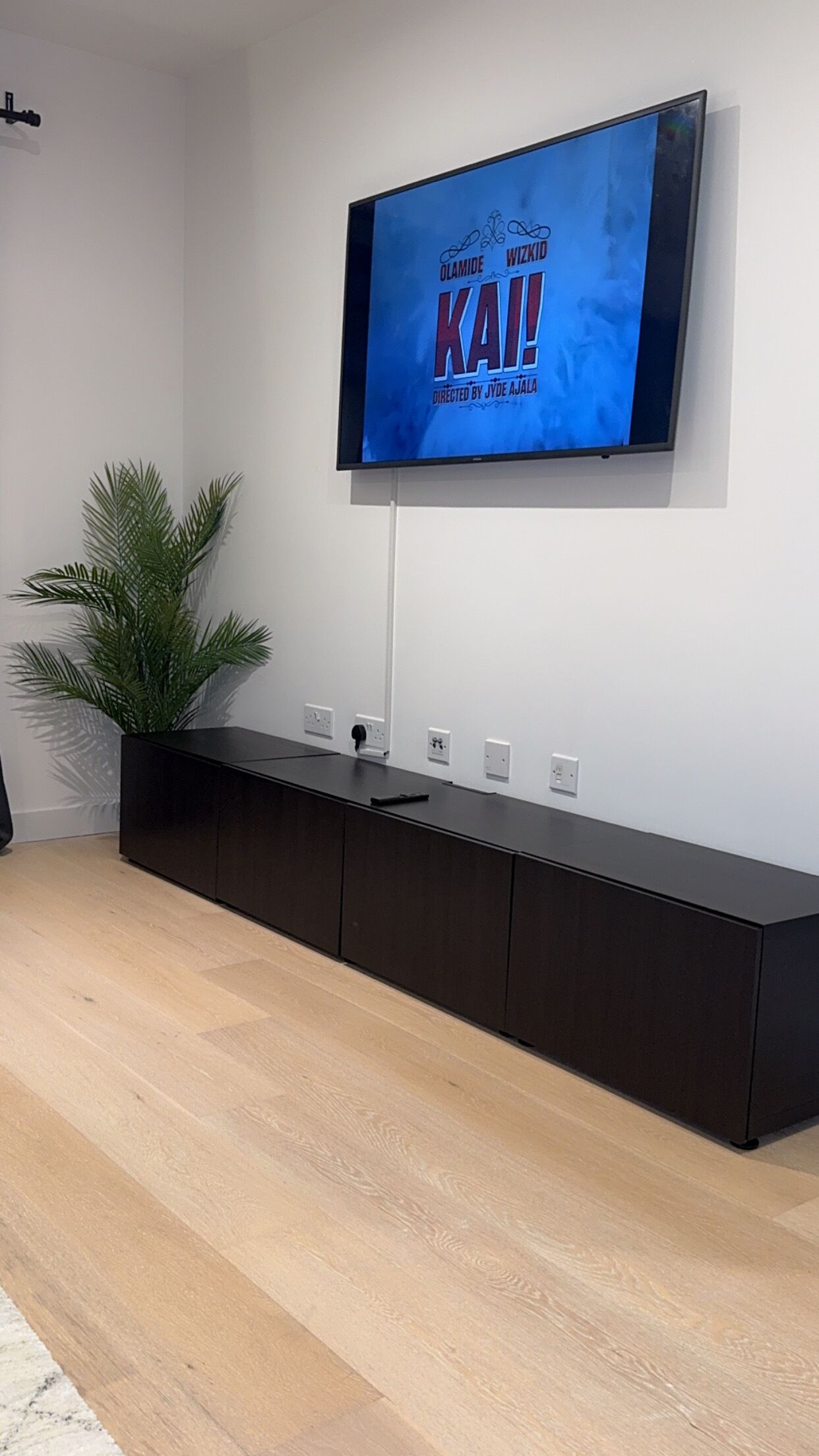 Un salon moderne avec un téléviseur à écran plat fixé au mur, une console en bois foncé et une plante en pot.