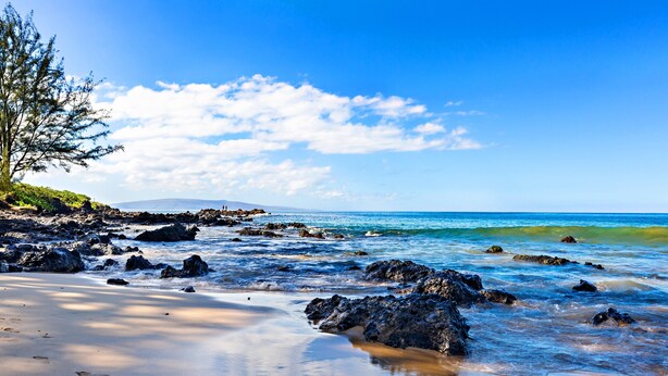 A beach with clear blue water, rocky shoreline, and a tree on the left. - Lovely 2bd in Kihei, paradise awaits! (Kihei)