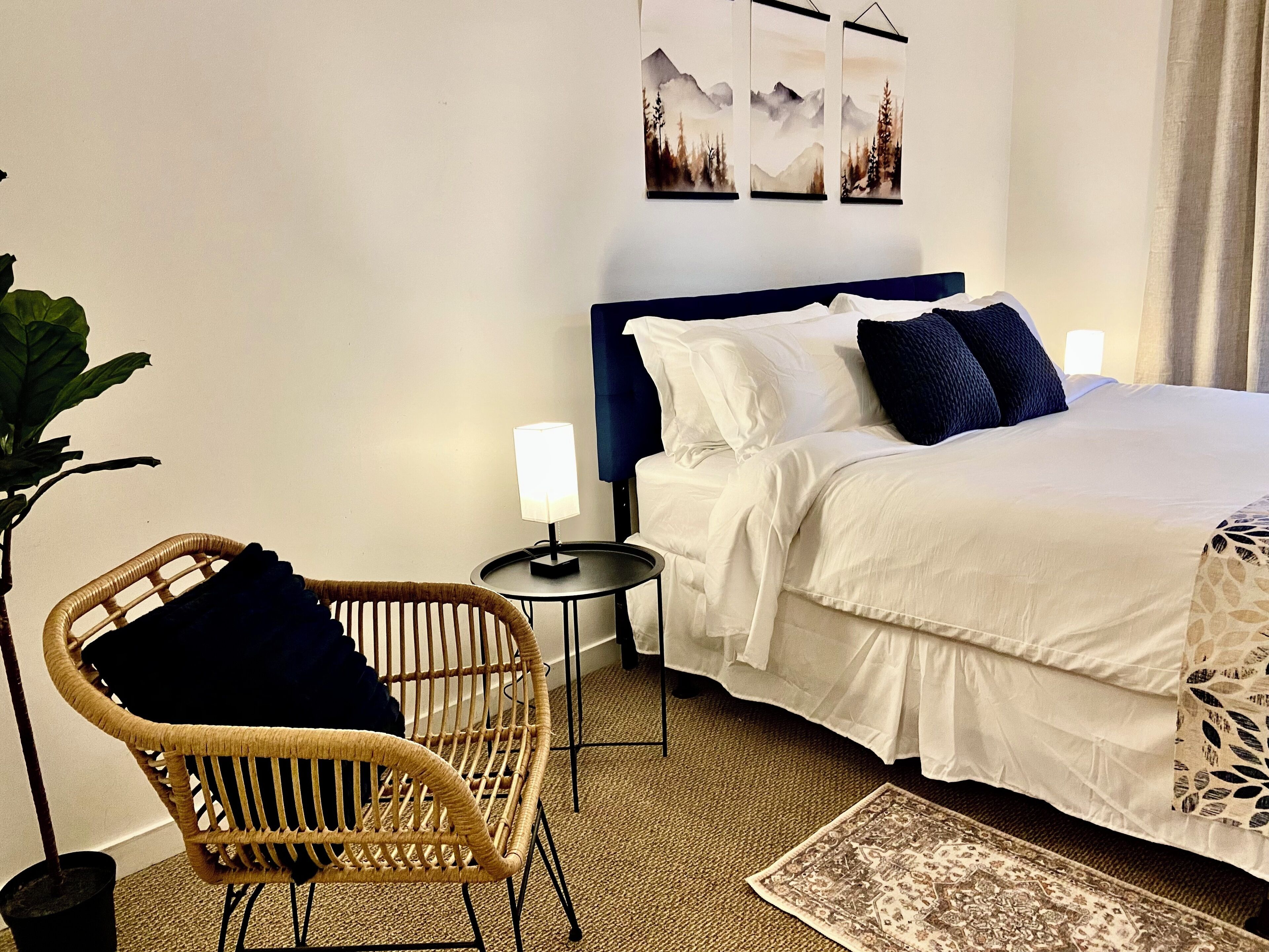 Iron/ironing board, Internet, bed sheets