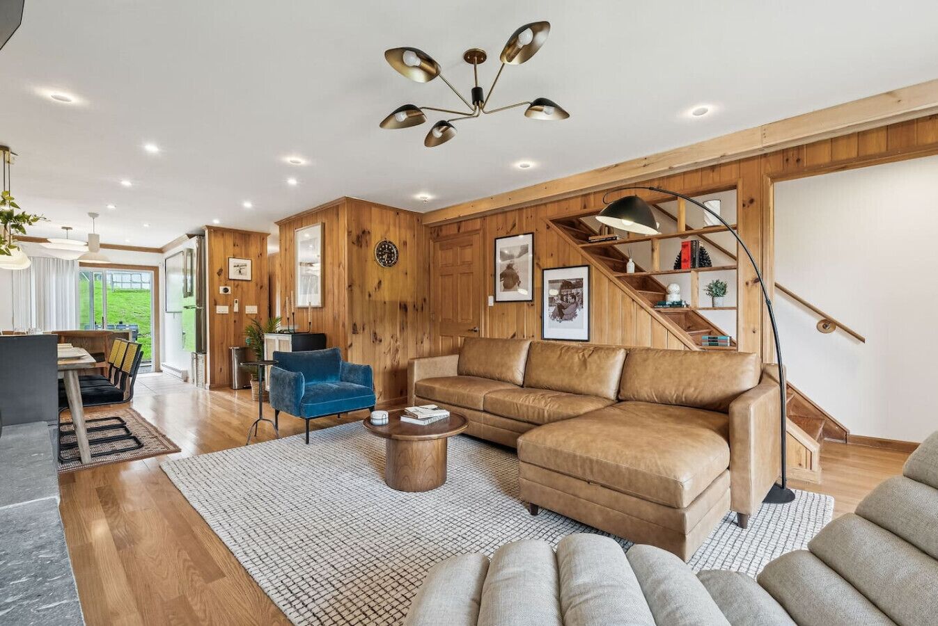 Télévision, cheminée, jeux vidéo, livres