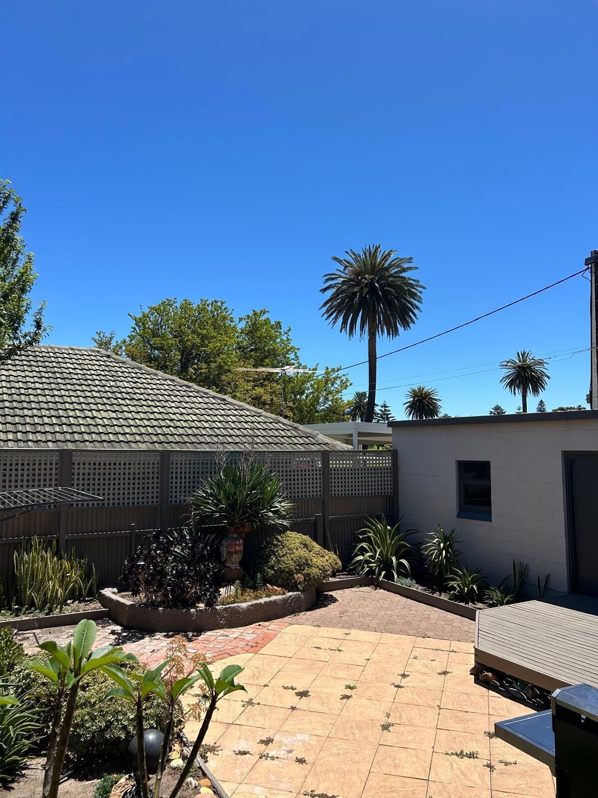 A residential property with a tiled patio, a fenced garden area, and a tall palm tree.