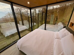 Room - Virginia Mirror Cabin (Linden Virginia)