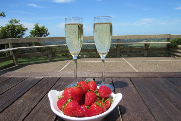 Summer days at Pine Holt Cottage!