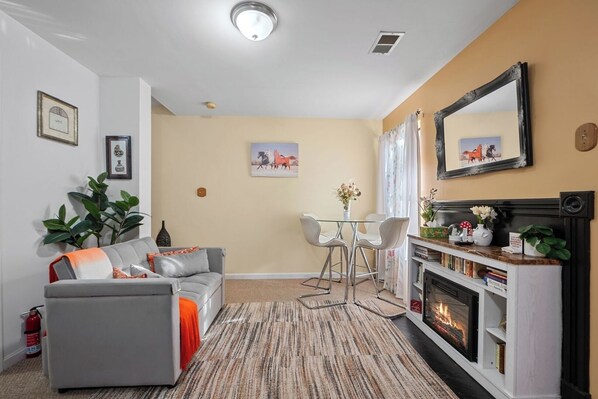 TV, fireplace, books