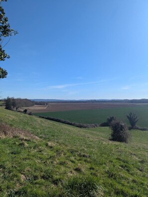 A grassy hillside with a clear view of distant fields and a few scattered trees. - Gîte de la Clavelle - Coté Azur (SAINT MAURICE DE GOURDANS)