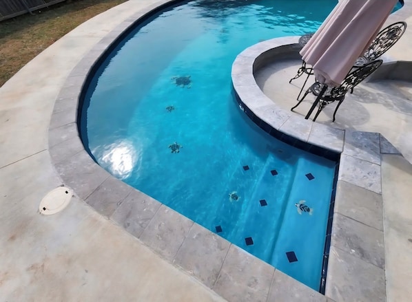 Piscine extérieure