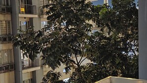 Un immeuble de grande hauteur doté de nombreux balcons et éclairé par un lampadaire.