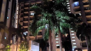 Un immeuble à plusieurs étages doté de balcons, avec un palmier au premier plan et un hall d’entrée bien éclairé.