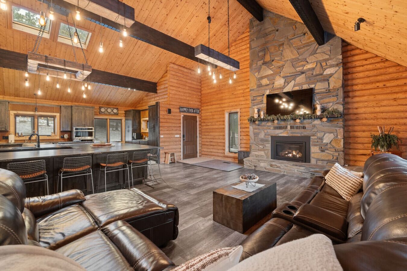 TV, fireplace, books