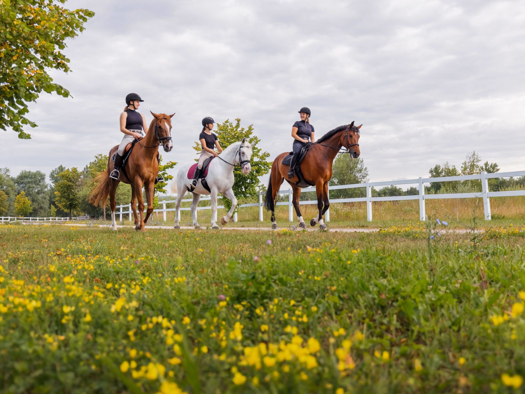 Trois cavaliers à cheval dans un espace extérieur clôturé, avec une clôture blanche et des arbres en arrière-plan.