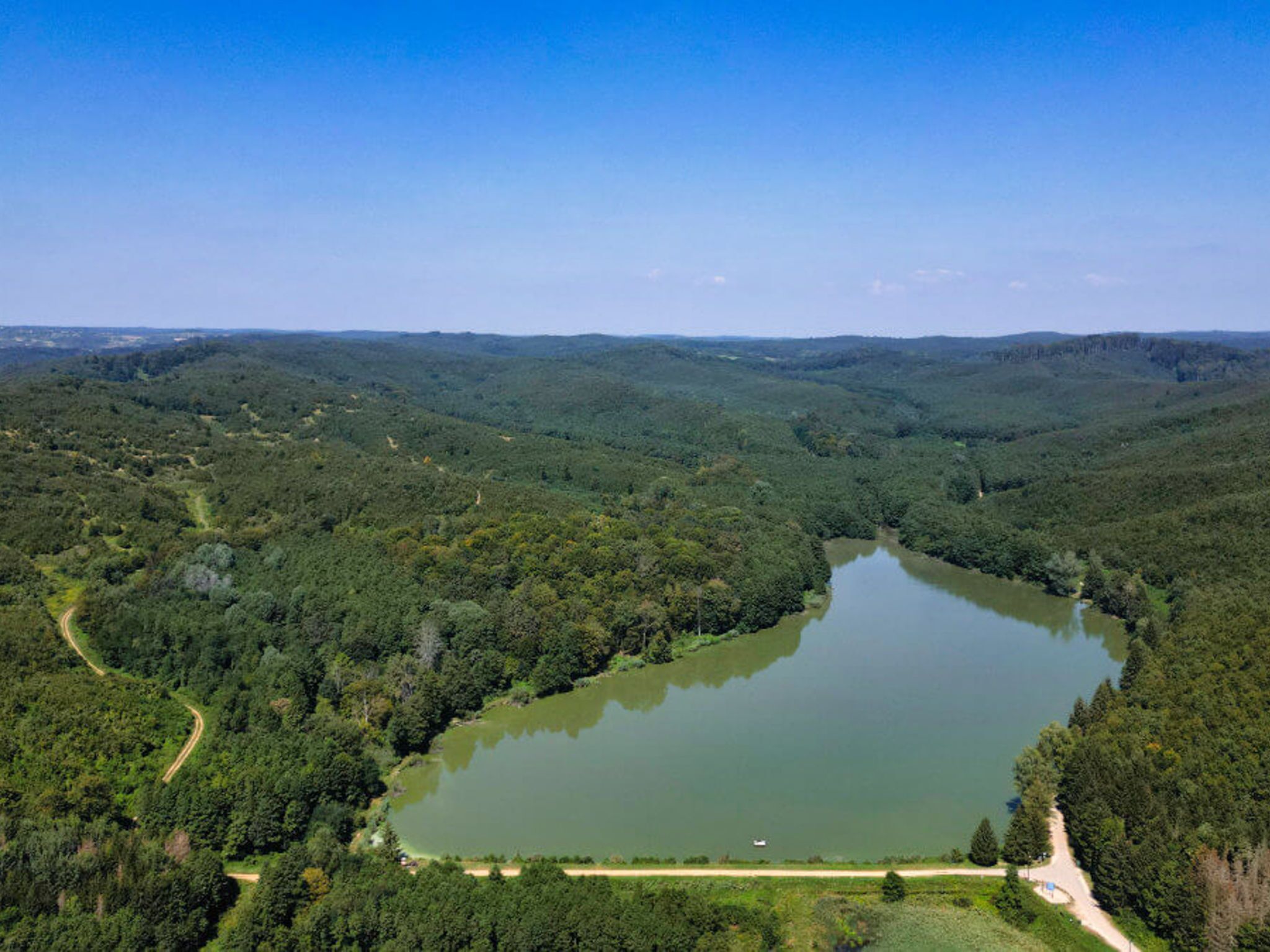 A large lake surrounded by dense forest, with a clear sky above.