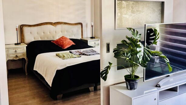 Un dormitorio con cama, mesitas de noche, televisor y una planta en maceta.