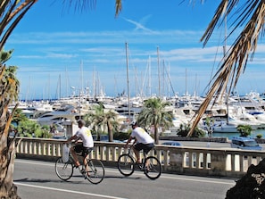 Ein Yachthafen mit zahlreichen vertäuten Booten, eine Straße mit Radfahrern und Palmen.