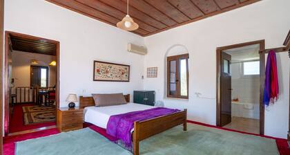 To Patriko - Historic 3 BR Home