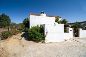 Property grounds - To Patriko - Historic 3 BR Home (Vori)