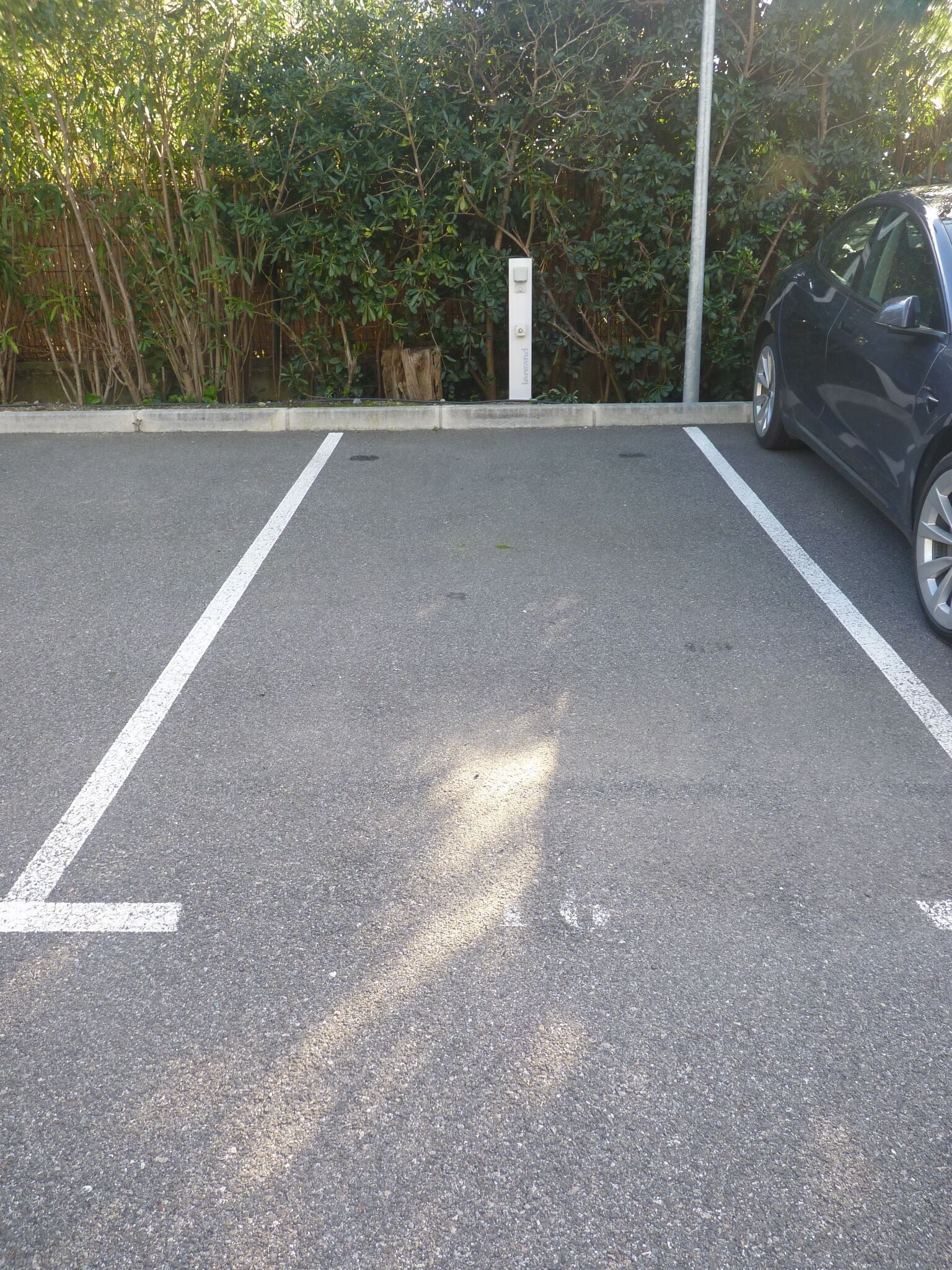 A parking lot with white lines marking parking spaces, surrounded by dense foliage and a concrete barrier.